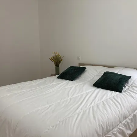 Apartamento 2 Neuf Surplombant Les Pistes De Le Lioran